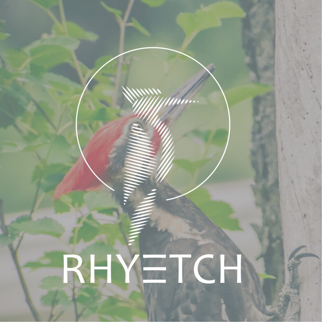 White logo on low opacity image background