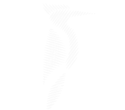 white rhyetch logo
